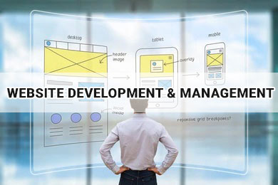 Website Development & Management